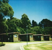 Katoomba Falls Caravan Park - New Castle Tourism