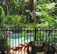 Daintree Rainforest Retreat Motel - Newcastle Accommodation