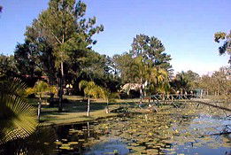 Twin Lakes Hotel - Newcastle Accommodation 0