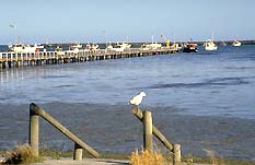 Port Macdonnell SA New Castle Tourism