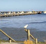 Seaview Motel and Holiday Units - New Castle Tourism