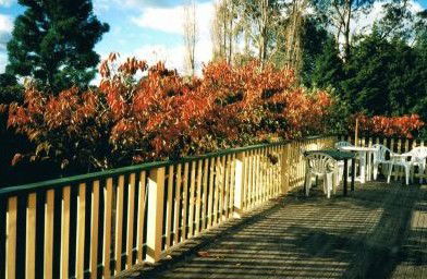 Heronswood House - New Castle Tourism 5
