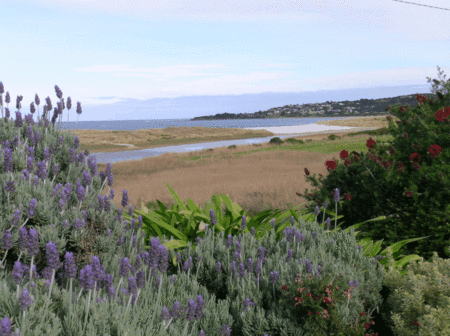 A Great Ocean View Motel - Newcastle Accommodation 2