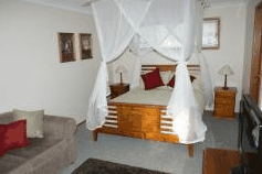 Tall Trees B And B - Newcastle Accommodation 1
