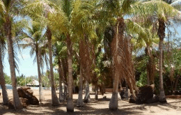 King Sound Resort Hotel - Newcastle Accommodation 0