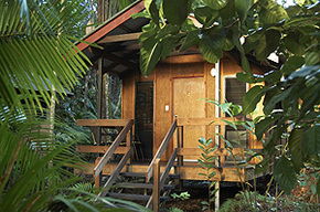 Cape Tribulation QLD Newcastle Accommodation