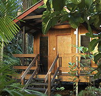 Cape Trib Beach House - Newcastle Accommodation