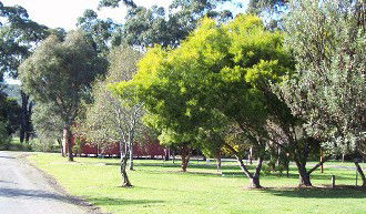 Gellibrand River Valley Cabins - Newcastle Accommodation 1