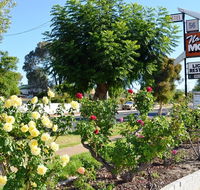 Narrogin Motel - Newcastle Accommodation