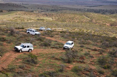 Willangi Bush Escapes - Newcastle Accommodation 2