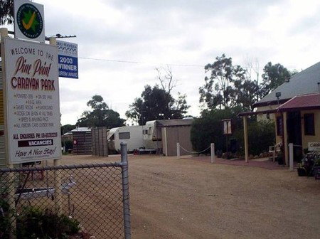 Pine Point Caravan Park - New Castle Tourism 2