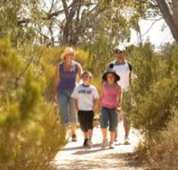 Long Island Caravan Park Cabins - New Castle Tourism