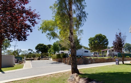 Avoca Dell Caravan Park - New Castle Tourism 0