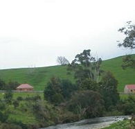 Tin Dragon Trail Cottages - Newcastle Accommodation