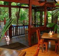 Daintree Wilderness Lodge - Newcastle Accommodation