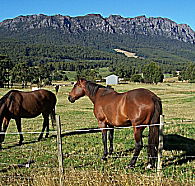 Hurlfield Farm Cottage - Newcastle Accommodation
