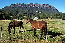 Hurlfield Farm Cottage - Newcastle Accommodation 0