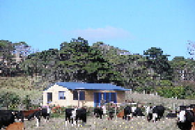 Marrawah TAS Newcastle Accommodation
