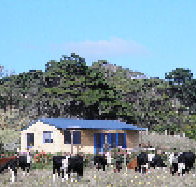 Marrawah Beach House - Newcastle Accommodation