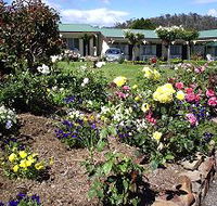 Wintersun Gardens Motel - New Castle Tourism