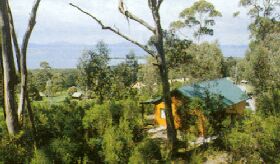 Partridge Farm - New Castle Tourism 0