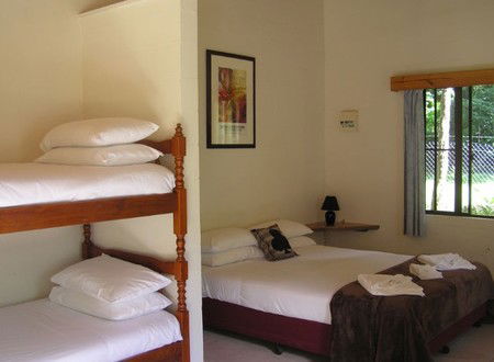 Lync-Haven Rainforest Retreat - Newcastle Accommodation 1