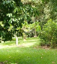Kingfisher Park Birdwatchers Lodge - New Castle Tourism 0