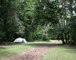 Kingfisher Park Birdwatchers Lodge - New Castle Tourism 5