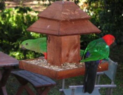 Chauvel Park B And B - Newcastle Accommodation 2