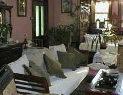 Arcola Bed And Breakfast - Newcastle Accommodation 1
