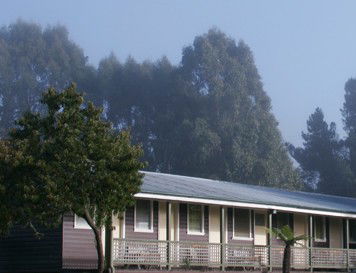 Bondi Forest Lodge - New Castle Tourism 0