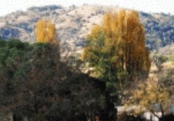 Nundle NSW Newcastle Accommodation