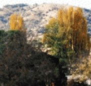 Birches Bed and Breakfast at Nundle - Newcastle Accommodation