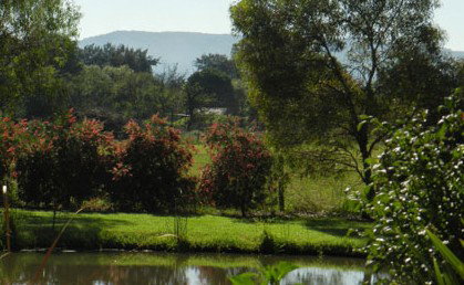 Amazing Country Escapes - Evanslea By The River - Newcastle Accommodation 4
