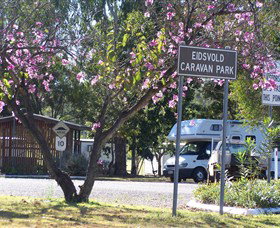 Ceratodus QLD Newcastle Accommodation