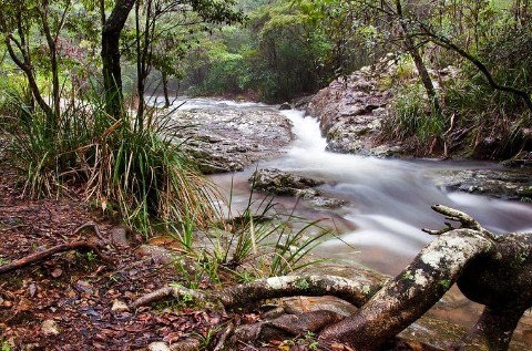 The Cottage At The Sanctuary Bed And Breakfast - Newcastle Accommodation 2