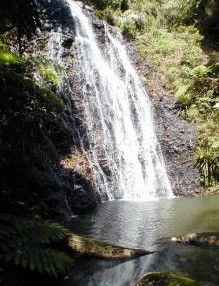 Beechmont QLD New Castle Tourism