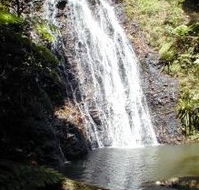 Binna Burra Mountain Lodge - New Castle Tourism