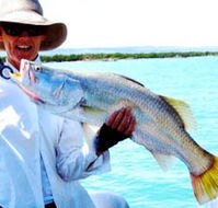 Kimberley Coastal Camp - Newcastle Accommodation