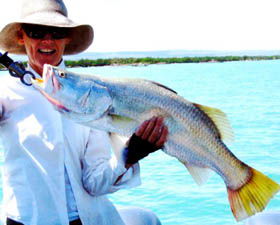 Kimberley Coastal Camp - Newcastle Accommodation 0