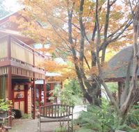 Como Cottage Accommodation - New Castle Tourism