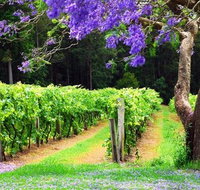 Bago Vineyards - Newcastle Accommodation
