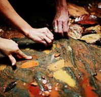 Daintree Eco Lodge And Spa - Newcastle Accommodation