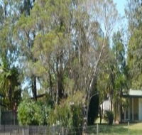 Nimbin Backpackers at Grannys Farm - New Castle Tourism