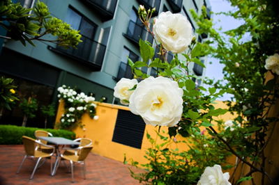 The Old Woolstore Apartment Hotel - New Castle Tourism 5