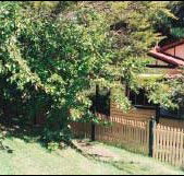 Apple Tree Cottage - New Castle Tourism