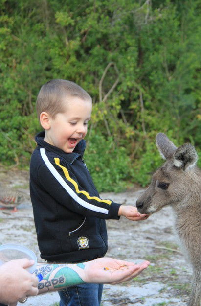 Wattle Point Waterfront Retreat - Newcastle Accommodation 2