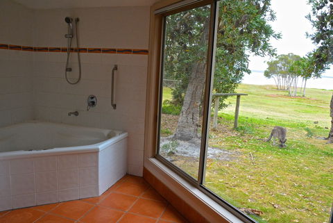 Wattle Point Waterfront Retreat - Newcastle Accommodation 5