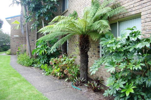 Beachfront Units Merimbula - Newcastle Accommodation 3