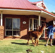 Brilea Cottages - Newcastle Accommodation